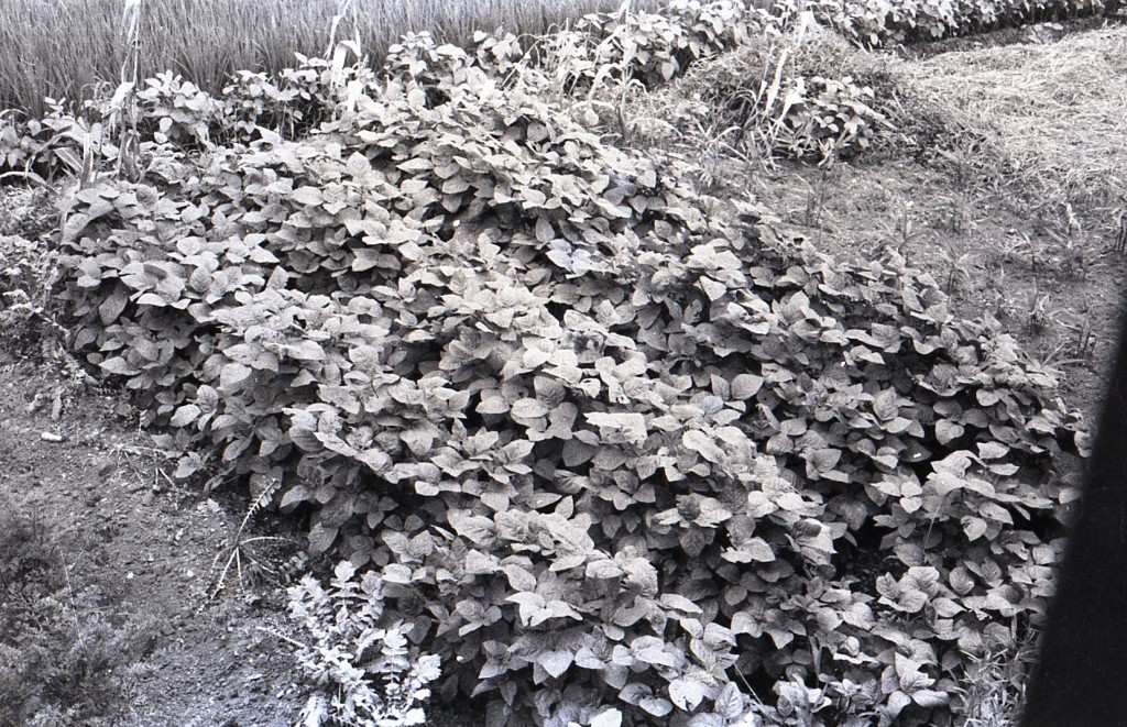 From Slip 12