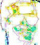 click to see picture
