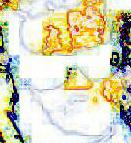 click to see picture