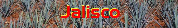 Agave field, near Acatic