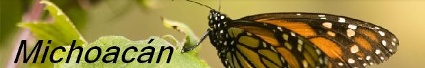 Monarch Butterfly National Park, Angangueo