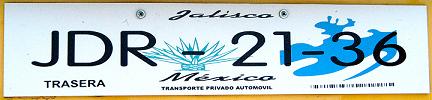 Jalisco plate, European size. Picture courtesy of Rickey Stein