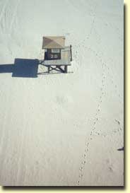 Lifeguard tower