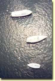 Boats in Newport Bay