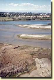 Upper Newport Bay