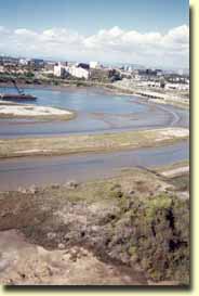 Upper Newport Bay