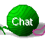 Cat Chat