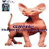 gillete