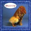 how are you??