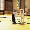 KungFu