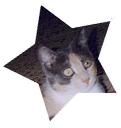 miki