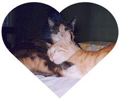 miki & toshe