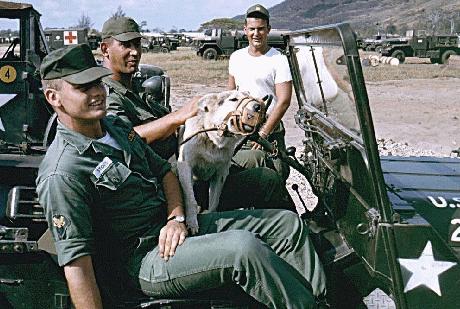 News, Vietnam Military Police Sentry Dog Alumni