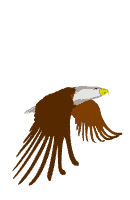 eagle.gif (20721 bytes)