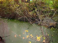 PhotoPC Saturday, 29 April 2000 1922 18.jpg (147630 bytes)