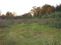 PhotoPC Saturday, 29 April 2000 1922 22.jpg (132429 bytes)