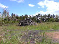 PhotoPC Tuesday, 7 November 2000 1256 1a.jpg (145547 bytes)