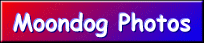 {short description of image}