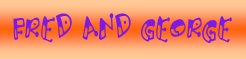 ~Enter the mini site dedicated to the twins~