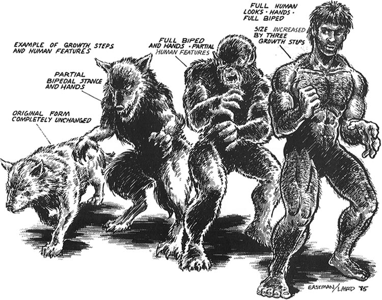 Sample Human Features & Size from TMNT&OS rulebook