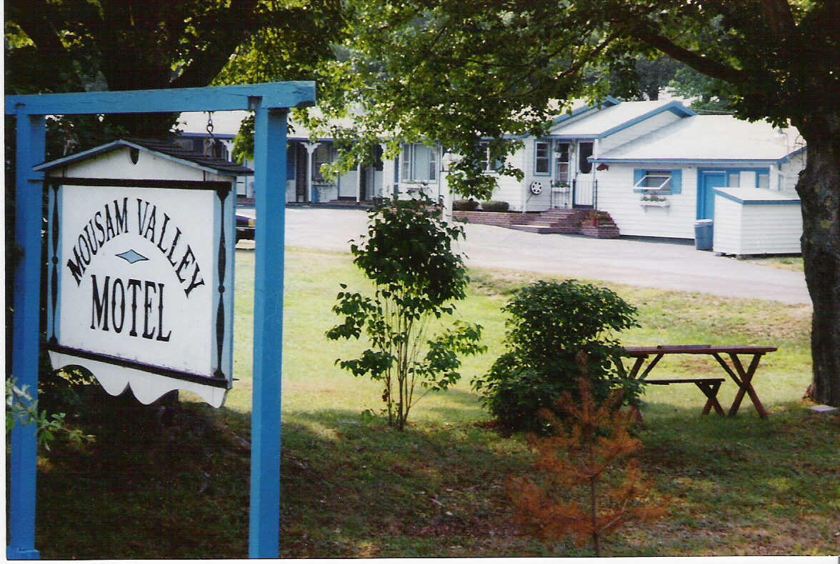 index [www.geocities.ws]