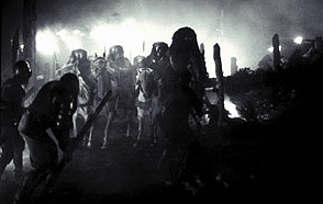 Beasts of the night!