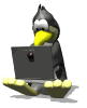 penguin typing on a laptop