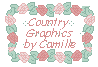 Country Graphics by Camille!