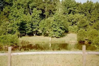 Our lake!