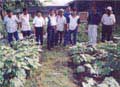 Mayor Randolph S. Ting with City Government Officials, Tagga Barangay Officials and CAFC Officials at the HVCC Techno Demo Farm