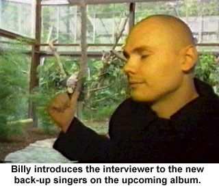 Funnies...hopefully.