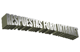 RESPUESTAS FORO INTRANET
