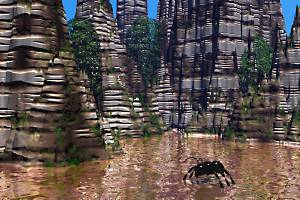 Ant Valley