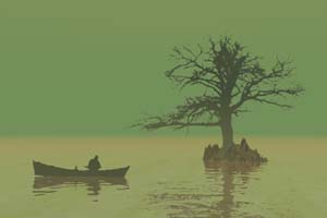 Boat and Tree