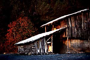 Summer Morning at Bolu