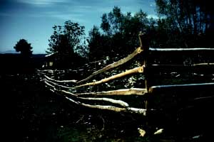 Summer Night at Bolu