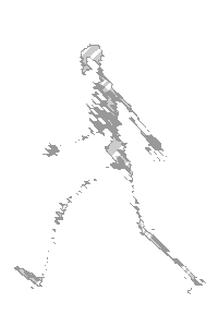 Walk