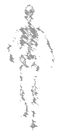 Walk