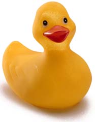 RUBBER DUCKY