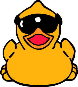 KoOl duck