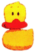 winking duck