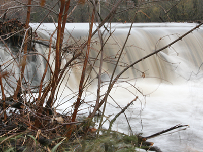 WaterInMotion
