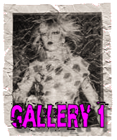 PUNKETTE GALLERY #1