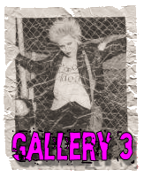 PUNKETTE GALLERY #3