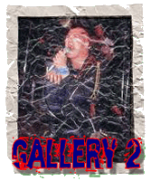 PUNK GALLERY #2