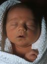 infant