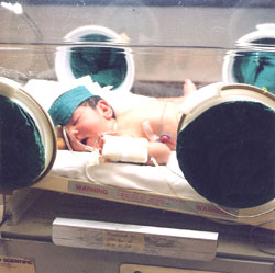 incubator
