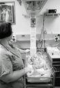 Incubator