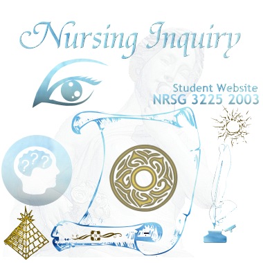 Nursing Inquiry Student Website
