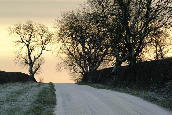 snowyroad.jpg